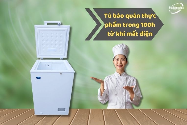 Tủ Đông Mini Intercool Sanden Snh-0105