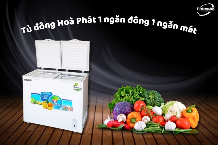 Ủ Đông Mini Hòa Phát 2 Ngăn Hcf 506S2N2