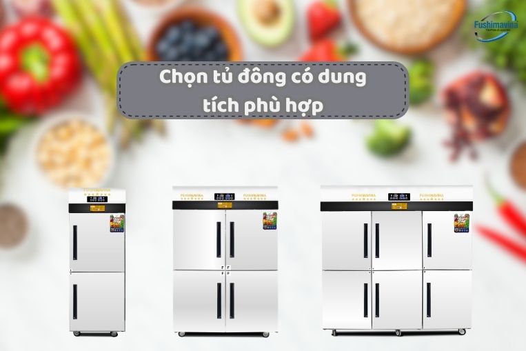 Chọn Dung Tích Tủ Phù Hợp Với Nhu Cầu Sử Dụng