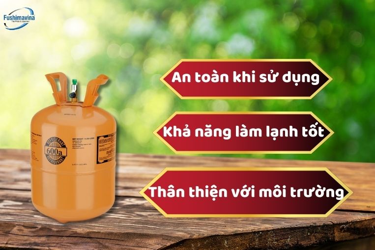 Chọn Tủ Đông Mini Sử Dụng Gas R600A