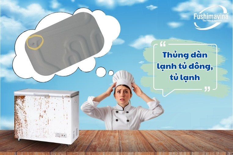 Thủng Dàn Lạnh Tủ Đông Do Đâu?